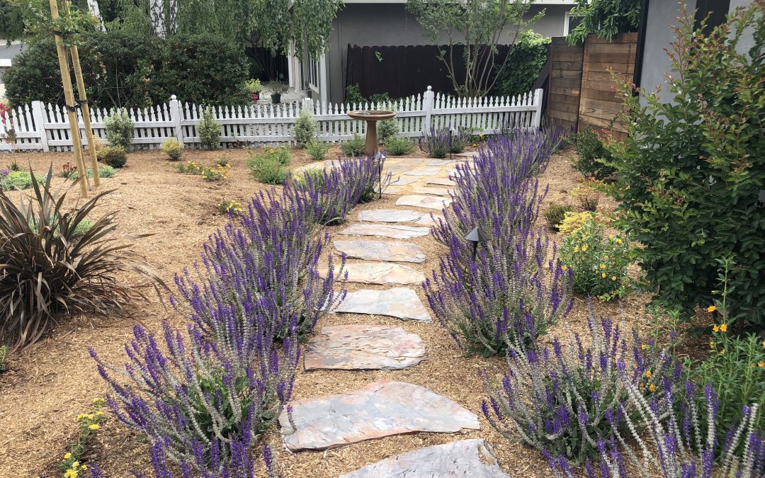 How Much Does Landscape Installation Cost in the SF East Bay?