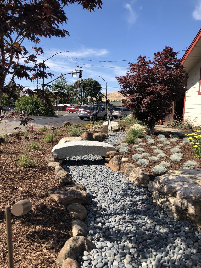 Landscape Installation