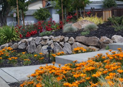 Frontyards - Vince's Landscaping - Martinez, Concord, Pleasant Hill, Landscaping Martinez