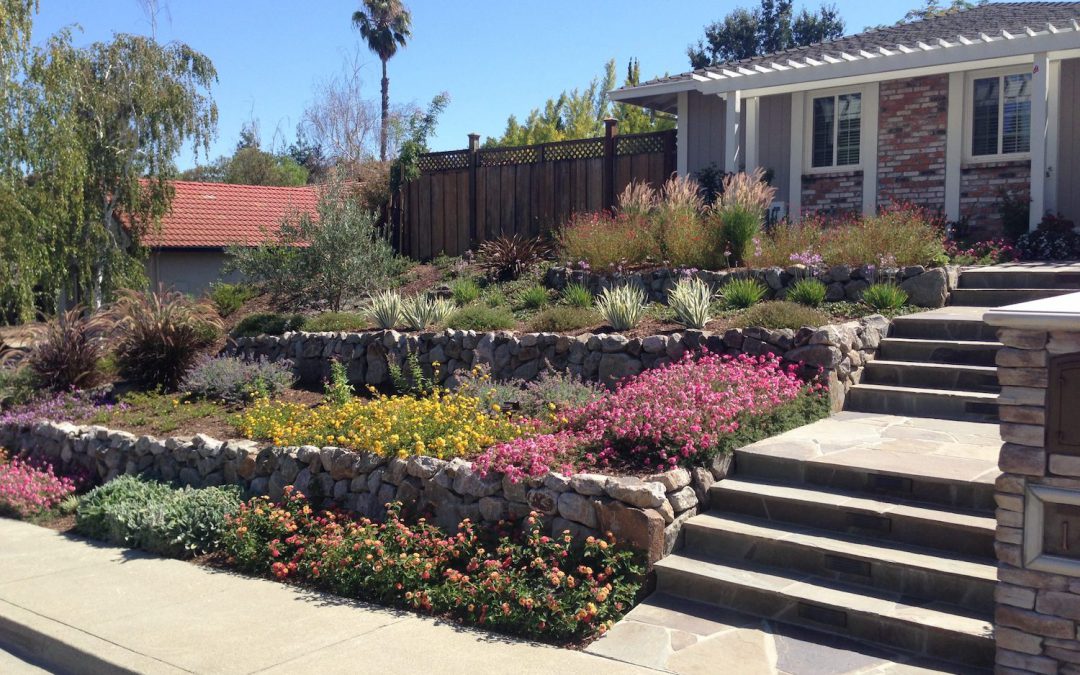 How Long Does a Professional Landscape Installation Take?