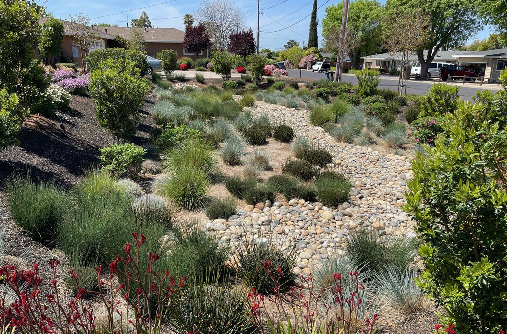 What Does Landscape Installation Include For A Complete Residential Project?